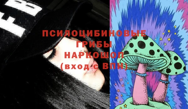 мяу мяу мука Баксан