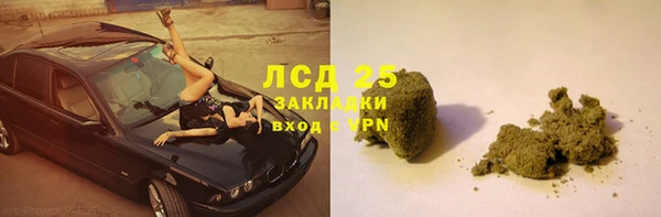 PSILOCYBIN Аркадак