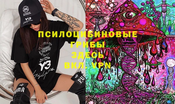гидра Алексин