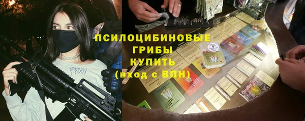 гидра Алексин