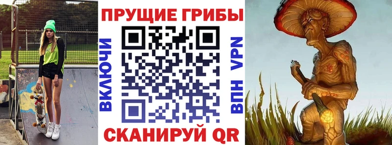 Галлюциногенные грибы Psilocybe Купить где Дзержинский