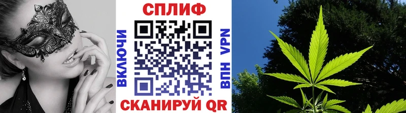 Конопля AK-47  Купить  Дзержинский 